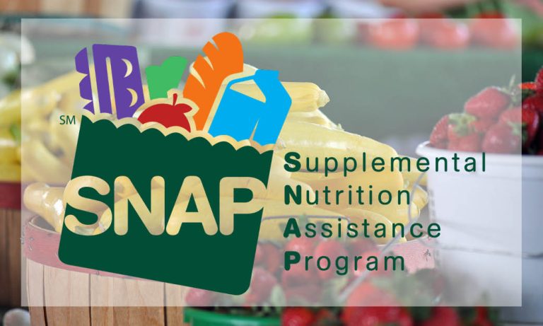 Supplemental Nutrition Assistance Program Explained